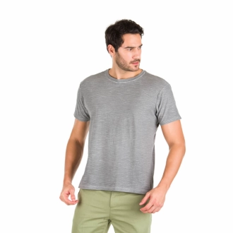 Camiseta Masculina Básica Flamê Cinza