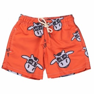 Short Infantil Praia Masculino Laranja Não Aguenta Bebe Leite 