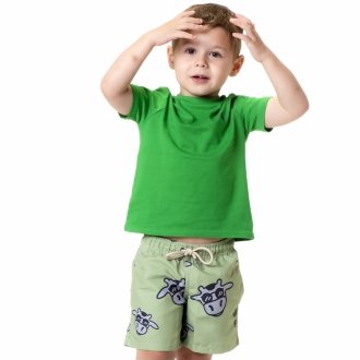 Short Infantil Praia Masculino Verde Não Aguenta Bebe Leite 